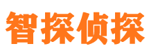 延安婚外情调查取证